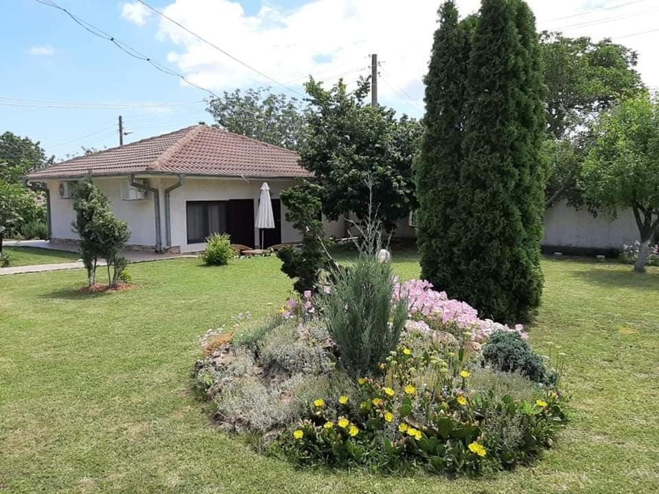 Guesthouse Oasis-Shabla Luaran gambar
