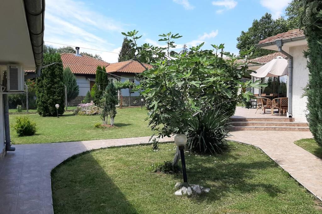 Guesthouse Oasis-Shabla Luaran gambar