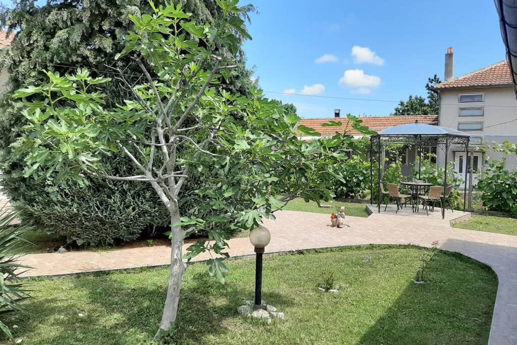 Guesthouse Oasis-Shabla Luaran gambar